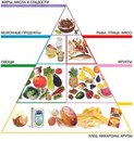 правильное питание диеты виды рецепты дневной рацион питания